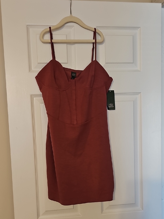 wild fable Dresses & Skirts - wild fable Rust Red Mini Dress